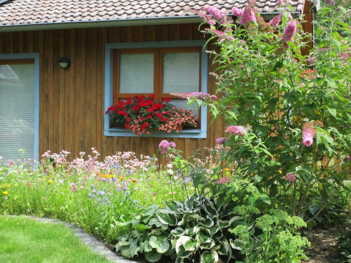 Studioferienhaus Herzogstadt-Celle Dış mekan fotoğraf